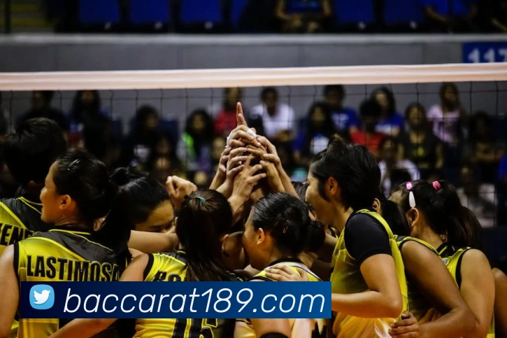 真人百家乐发展历程